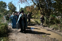 IMG_8667.jpg