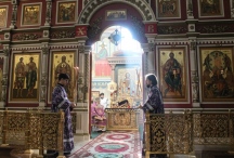 IMG_9225.jpg