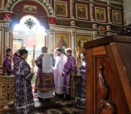 IMG_9295.jpg